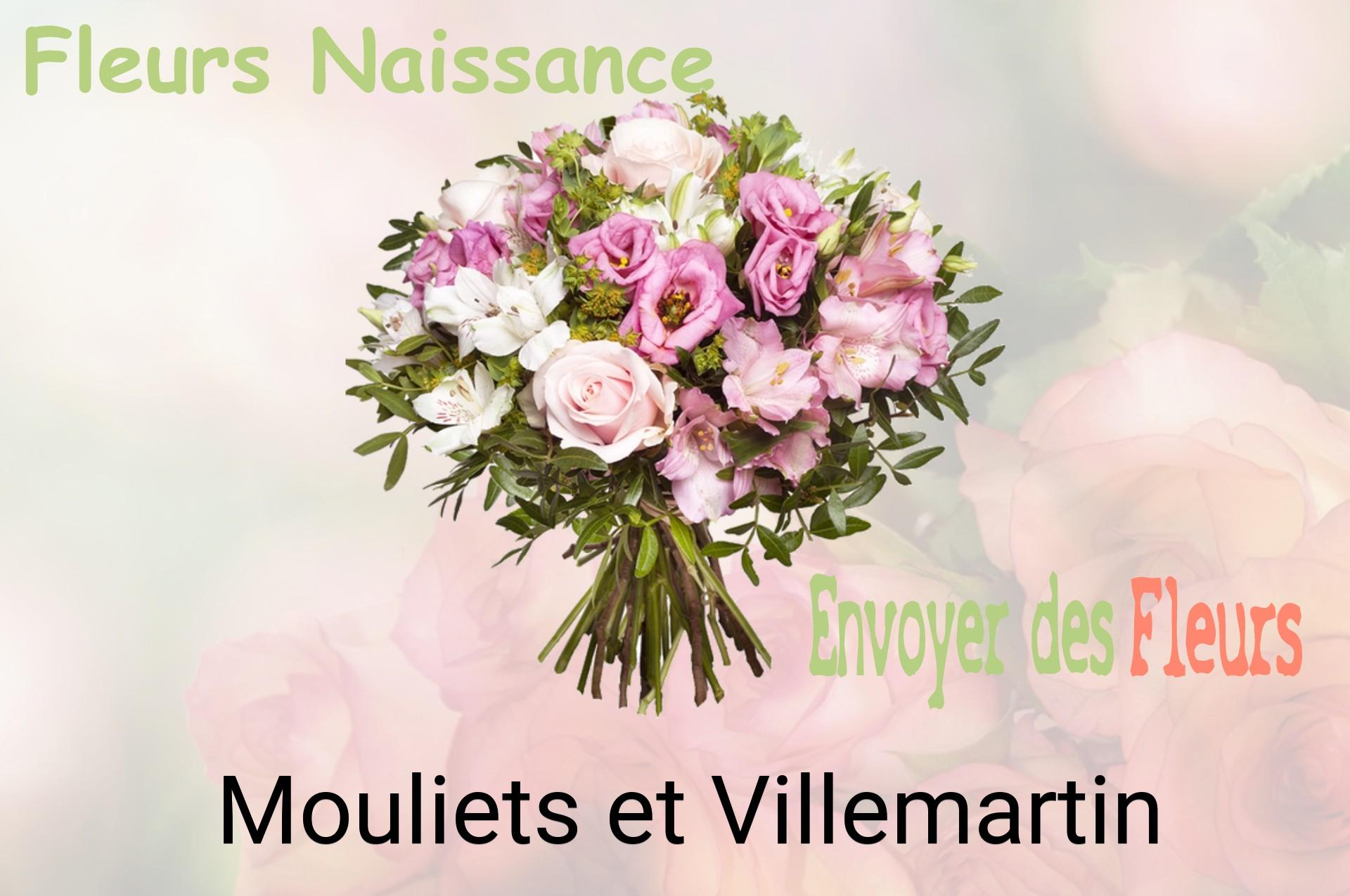 Bouquet de fleurs de naissance livré à Mouliets-et-Villemartin
